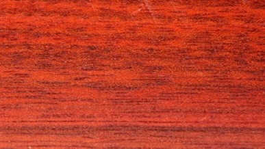 Bloodwood