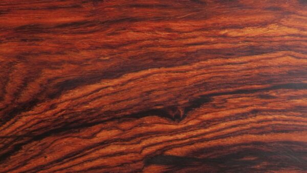 Cocobolo